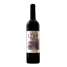 Bodegas Uvairenda Tannat 1750 2018