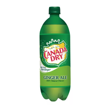 Canada Dry Ginger Ale 12oz Cans