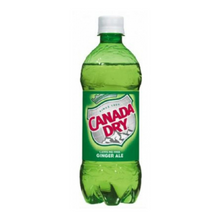 Canada Dry Ginger Ale 20oz