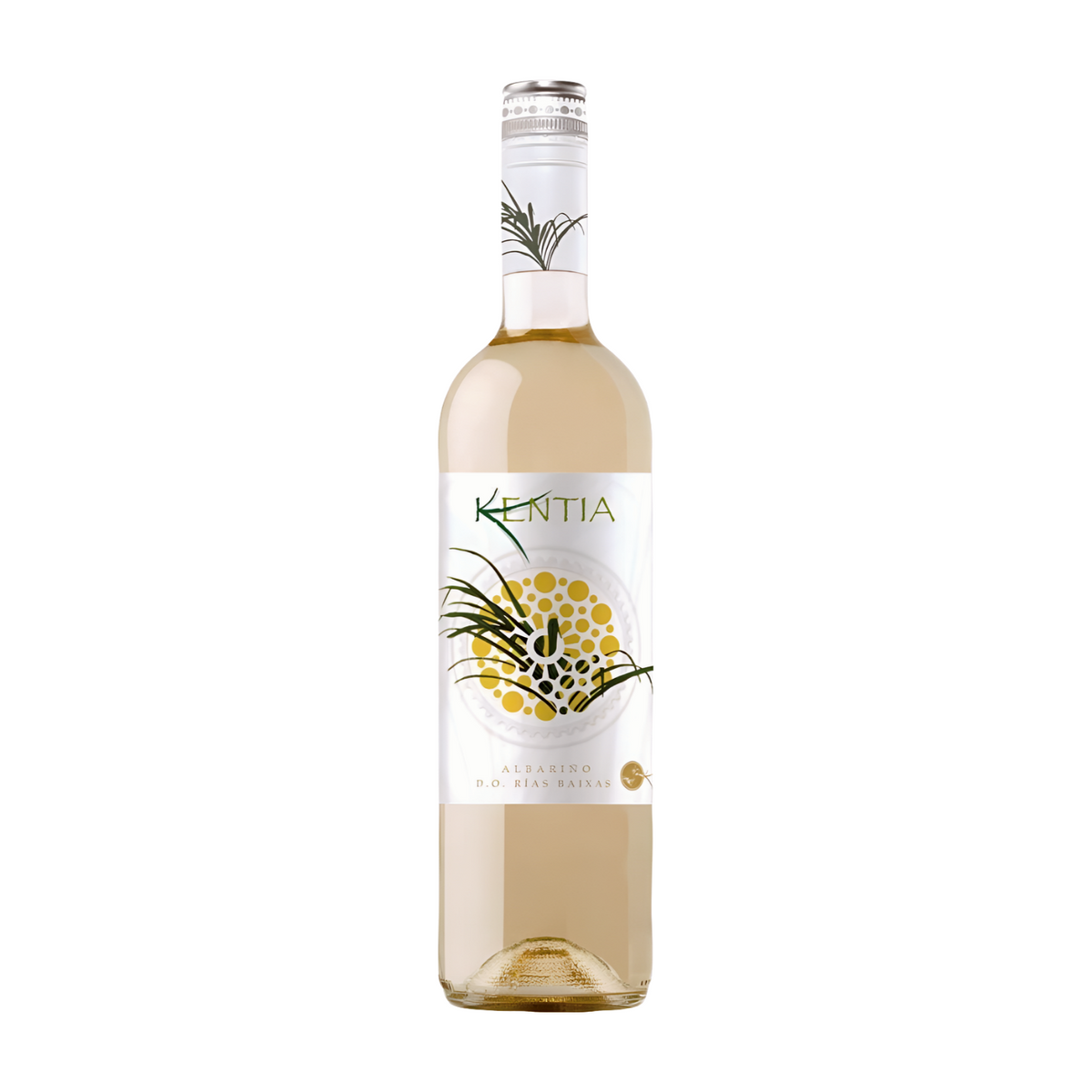 KENTIA ALBARINO RIAS BAIXAS 2022