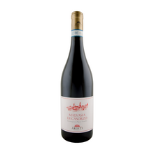 Malvasia di Casorzo 2024