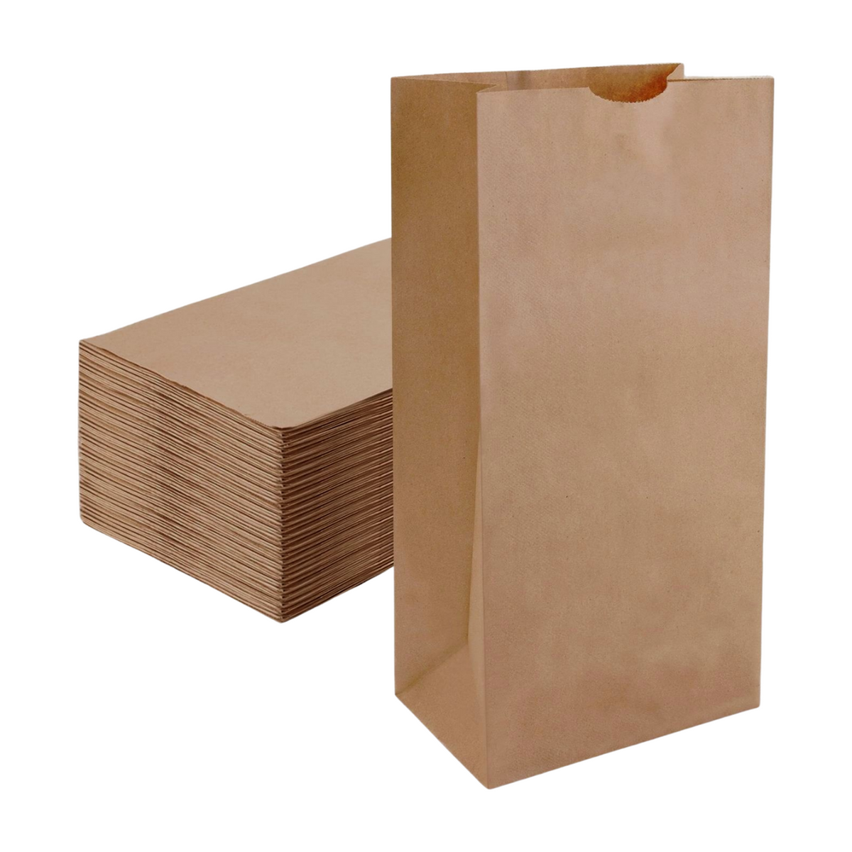 PAPER BAG 20LBS