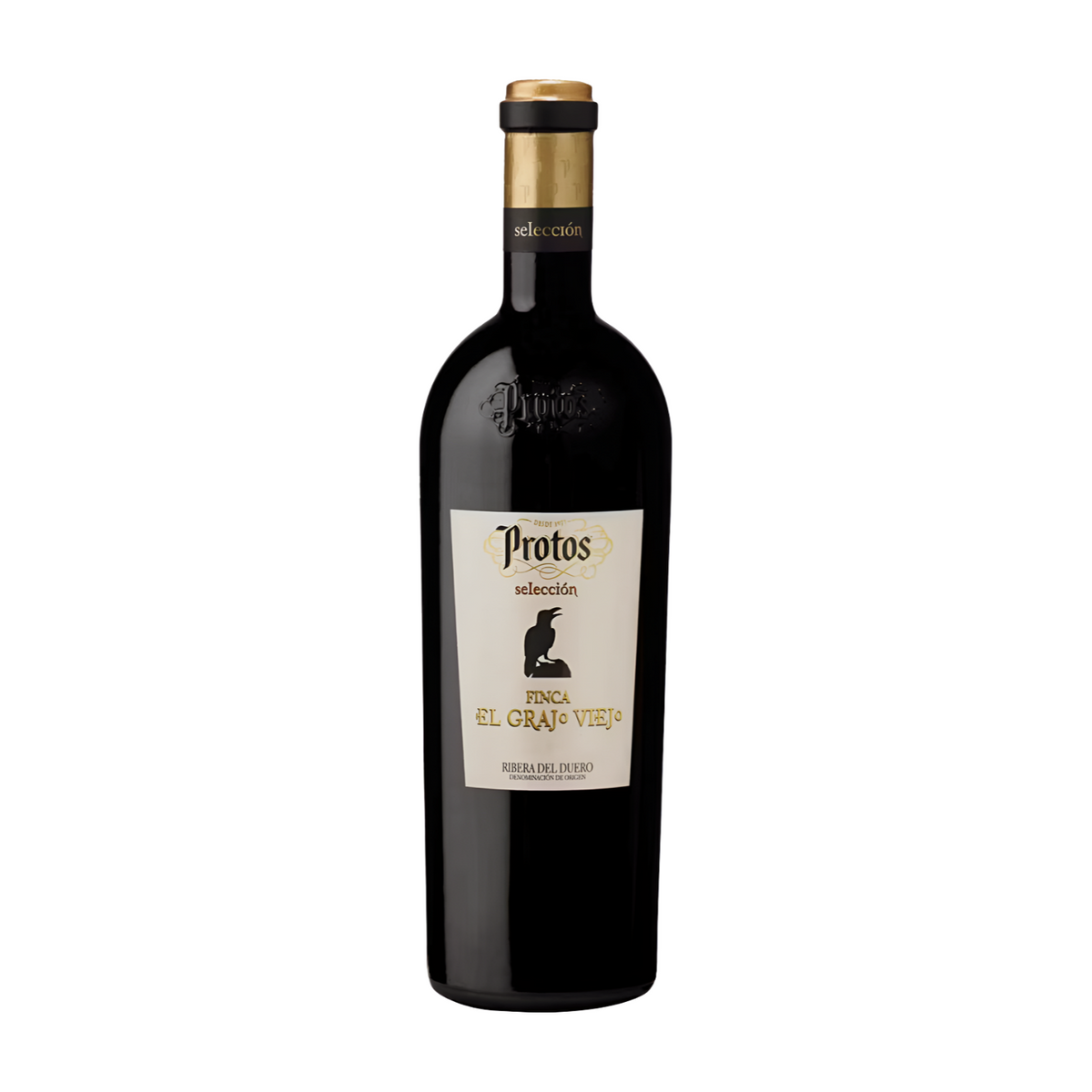 PROTOS SELECCION EL GRAJO VIEJO 2016