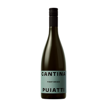 Puiatti Pinot Grigio 2024