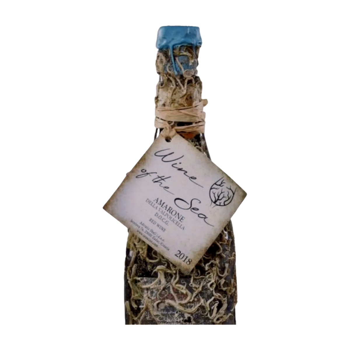 WINE OF THE SEA  AMARONE 2018