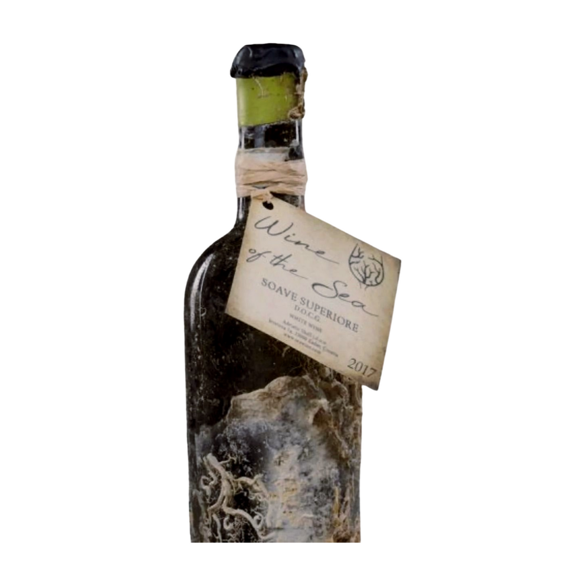WINE OF THE SEA SOAVE 2017