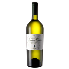 Tenuta di Cavaliere "Marchetti" Verdicchio dei Castelli di Jesi 2023